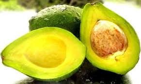 Hasil gambar untuk gambar alpukat