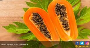 Hasil gambar untuk gambar pepaya